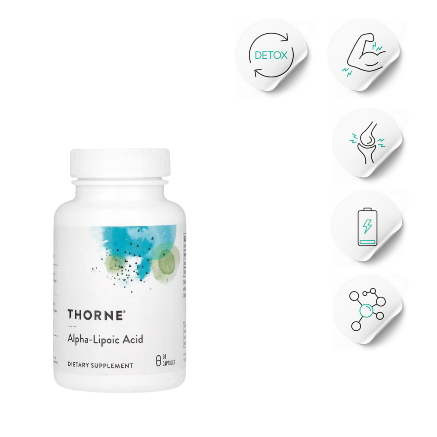 Alpha-Lipoic Acid | Muscle Pain and Antioxidant Support