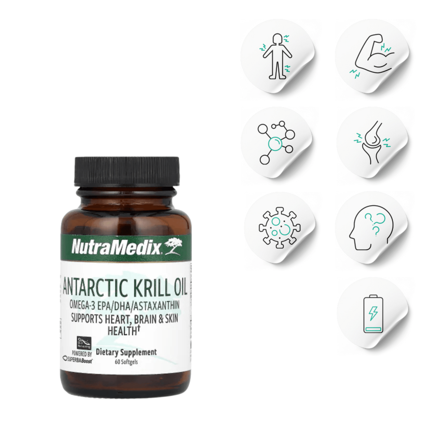 Antarctic Krill Oil | Inflammation and Brain Fog - Long Covid Store - Long Covid Store