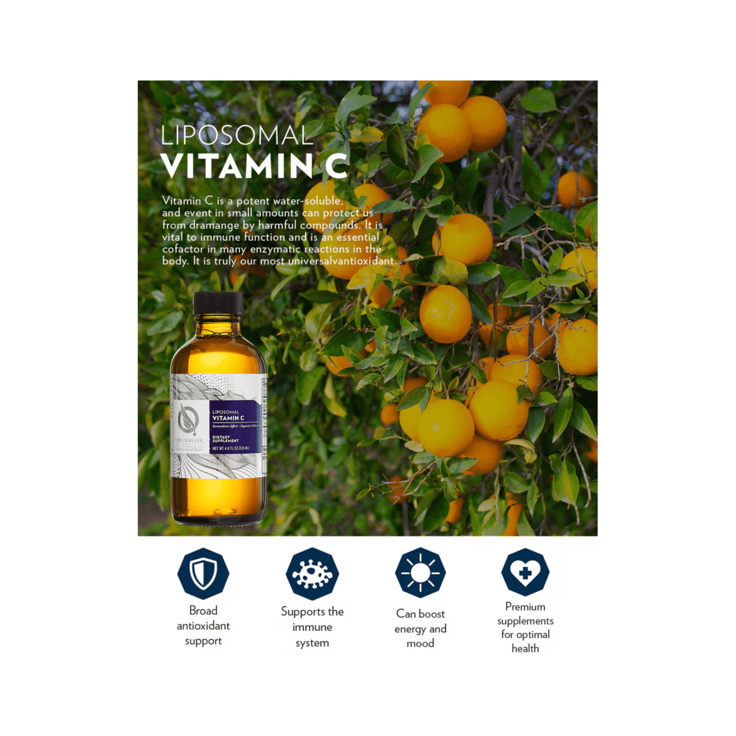 Liposomal Vitamin C | Mood, Pain and Immune Support - Quicksilver Scientific - Long Covid Store