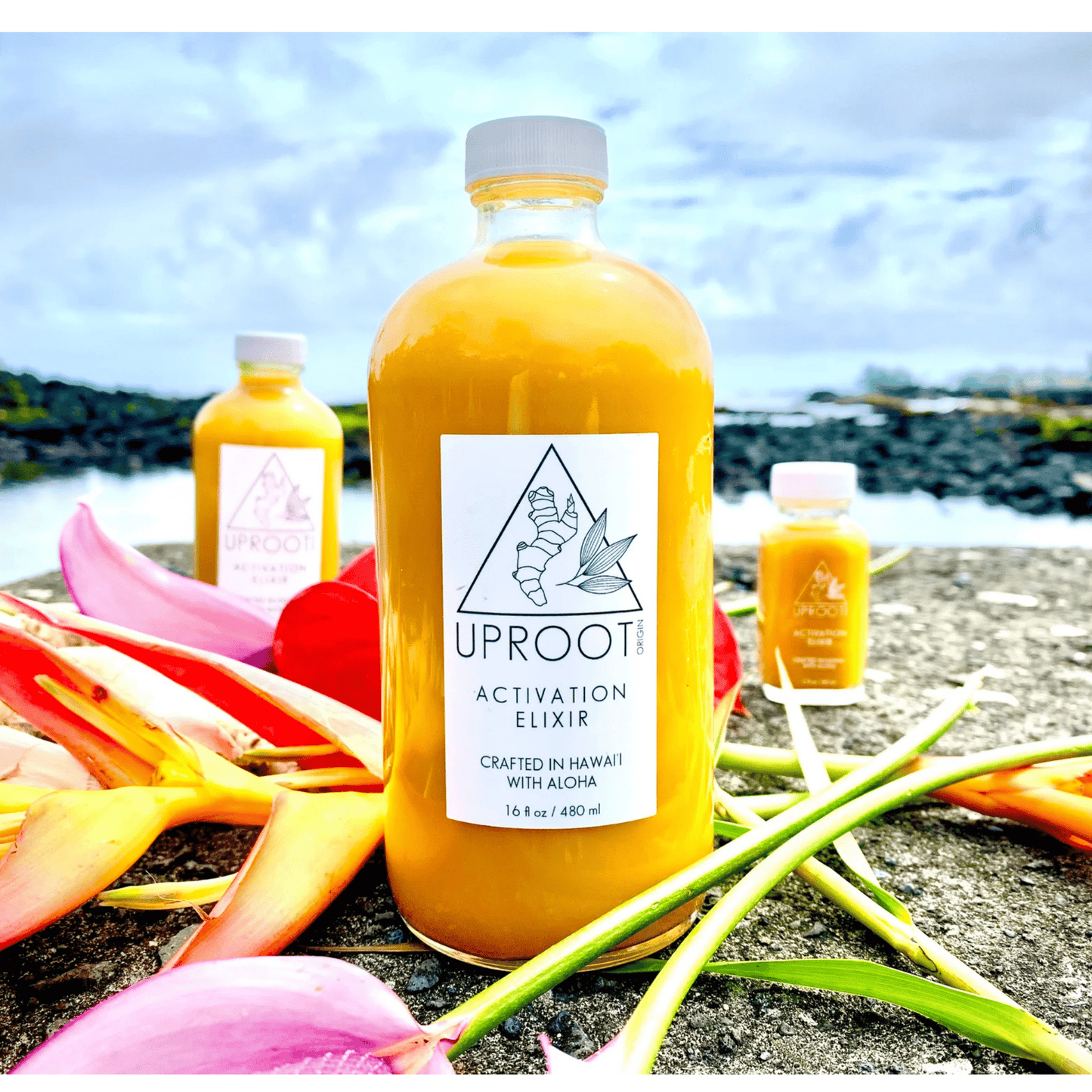 Turmeric Elixir | Gut Health and Inflammation Support - Uproot Origins - Long Covid Store