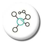 Oxidative Stress