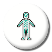 Nerve Dysregulation