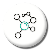 Oxidative Stress