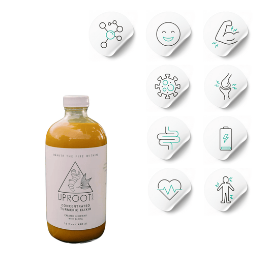 Turmeric Elixir | Gut Health and Inflammation Support - Uproot Origins - Long Covid Store