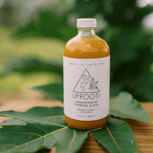 Turmeric Elixir | Gut Health and Inflammation Support - Uproot Origins - Long Covid Store