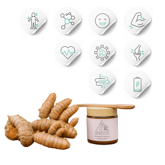 Turmeric Paste | Gut Health and Inflammation Support - Uproot Origins - Long Covid Store