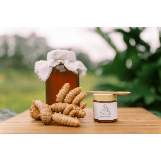 Turmeric Paste | Gut Health and Inflammation Support - Uproot Origins - Long Covid Store
